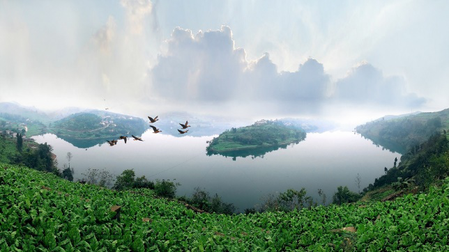 http://img.danews.cc/upload/ajax/20210120/1a0d19c12b8abb348379afb0d7009ecf.png