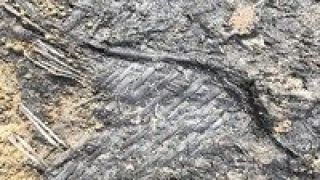 6600,席子,何時,年前,江蘇,開始 江蘇人何時開始用席子？ 6600年前！