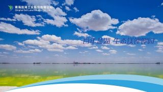 1111,485.88,ST,472,預虧,億元 *ST鹽湖生死劫：全年最高預虧472億元 1111家債權人申報債權485.88億元