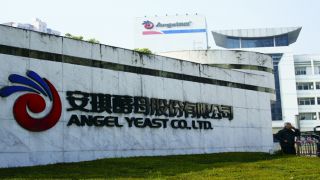 閃崩,安琪,惡臭,酵母,搬遷,子公司 安琪酵母股價閃崩  擬搬遷子公司惡臭氣排放多次被罰