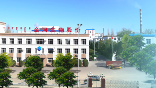 3851,1271,實控,萬股,金河,缺錢 延期質押3851萬股后又減持1271萬股 金河生物實控人真缺錢