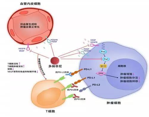 獲批,替尼片,杰克,鹽酸,制藥,臨床 澤璟制藥：獲批開展鹽酸杰克替尼片治療Ⅱ期臨床試驗
