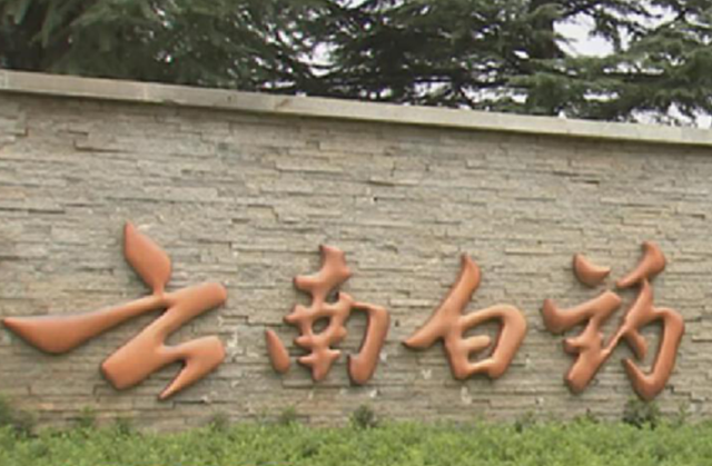 內憂,云南白藥,損益,平安,減持,經常 電鰻快報|云南白藥現內憂：非經常損益支撐利潤增長 平安減持股份超3成