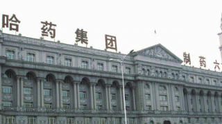 營收,比僅,哈藥,黃連,止住,兩日 哈藥股份連續兩日漲停 雙黃連營收占比僅2%能否止住業績下滑？