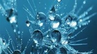 想象,預測,貨幣,空間,金融,機構 多機構預測貨幣金融政策存更多想象空間