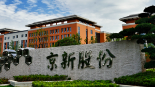 京新,實控,1400,質押,放緩,藥業 實控人質押1400萬股  京新藥業研發投入放緩 業績預期下降