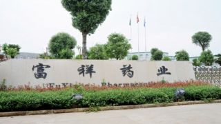 富祥,募資主,抗生素,有待,申報,藥業 富祥藥業重新申報A股增發方案顯強勢  募資主投抗生素前景有待觀察
