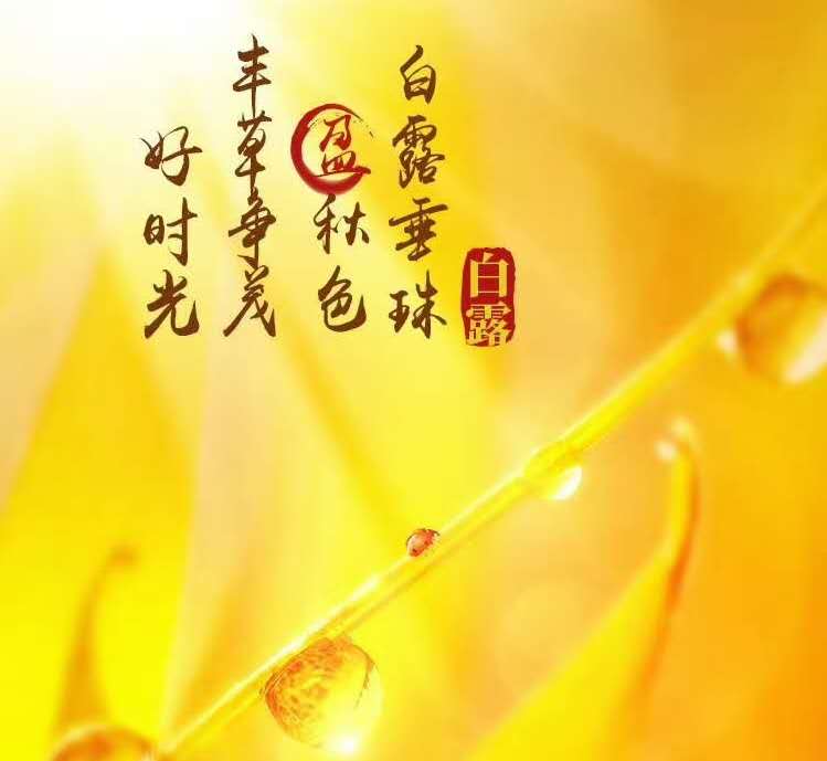 王利剛,韻腳,銀華,總是,時代,成功 基金界星級“廚神”寶盈張仲維的“掌勺”之道