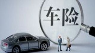 陣痛,帶來,車險,實惠,日報,改革 車險綜合改革帶來實惠也帶來陣痛