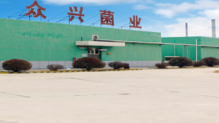 163,眾興菌業,119,復產,復工,使然 眾興菌業預告全年業績暴增119%至163%  復產復工使然還是員工持股計劃奏效？