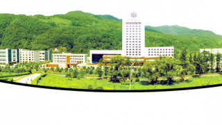 東寶,通化,九成,胰島素,質(zhì)押,持股 通化東寶控股股東質(zhì)押近九成持股 兩胰島素決定未來業(yè)績(jī)