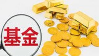 遇冷,增至,失敗,募集,發行,今年 發行遇冷 今年募集失敗基金增至5只