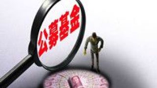 公募,競逐,牌照,謀求,多元,業務 謀求業務多元發展 資本競逐公募牌照