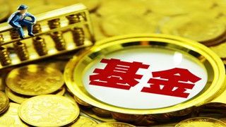 增有,門道,打折,頭部,私募,并非 “打折股”并非穩賺不賠 頭部私募參與定增有門道