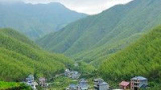 集群,鄉(xiāng)村,構(gòu)建,振興,加速,格局 農(nóng)業(yè)產(chǎn)業(yè)集群建設(shè)加速構(gòu)建鄉(xiāng)村振興新格局