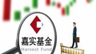 嘉實,趙學軍,發生變化,實體,結合,產業 嘉實基金趙學軍：金融去結合產業實體的方式將發生變化