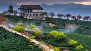 民宿,競相,細分,激活,旅游,布局 “民宿+”激活細分市場 旅游企業競相布局