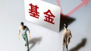 公募,信息安全,布局,積極,板塊,關(guān)注 信息安全板塊引關(guān)注 公募基金積極布局