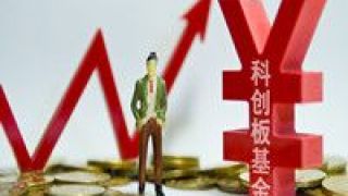 科創板,私募,強勢,力度,配置,加大 科創板表現強勢 私募將加大配置力度
