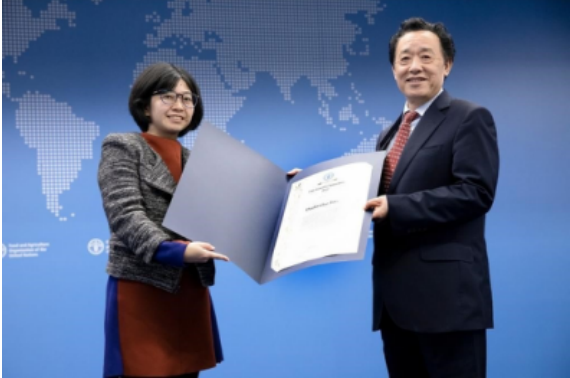 2022,聯合國糧農組織,普惠,助力,多多,年度 助力農業科技普惠，拼多多獲聯合國糧農組織2022年度創新獎