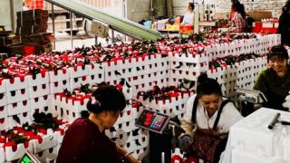  拼多多攜手科技小院，升級丹棱“致富橙”