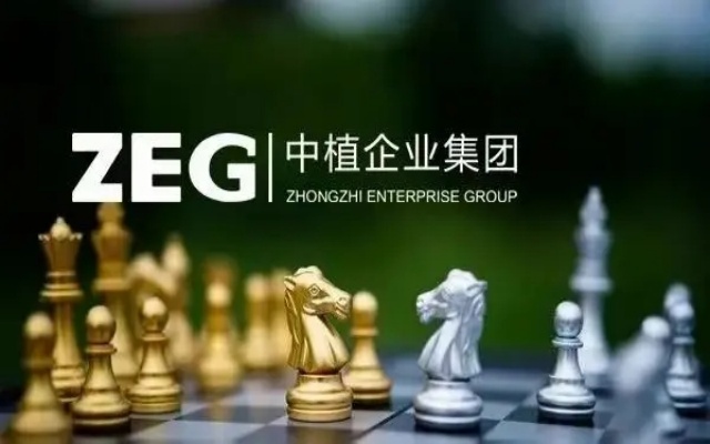 中植系,涉嫌,多人,違法,意識,財富 “中植系”財富公司涉嫌違法多人被抓！投資者應不斷提升風險意識