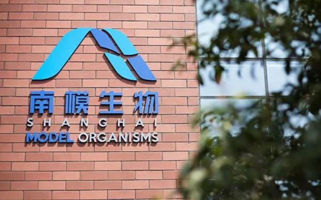 南模,躋身,融通,警示,準(zhǔn)確,十大 電鰻號(hào)｜南模生物披露信息不準(zhǔn)確收警示函融通基金持股躋身前十大股東