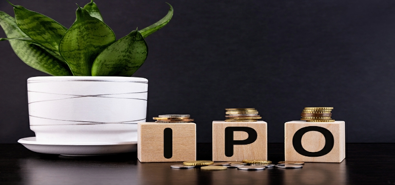 IPO,DHA,46,賣奶,紐曼,撐起 46名員工撐起紐曼思IPO：重大研發投入為零 收入依賴銷售DHA嘗試賣奶受挫
