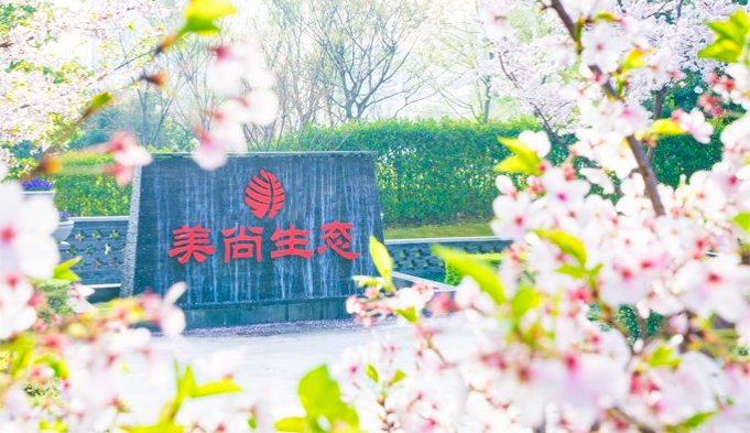 800,2.4,113,自家,操縱,董事長 控制113個賬戶！A股董事長操縱自家股票 交易800億 虧2.4億