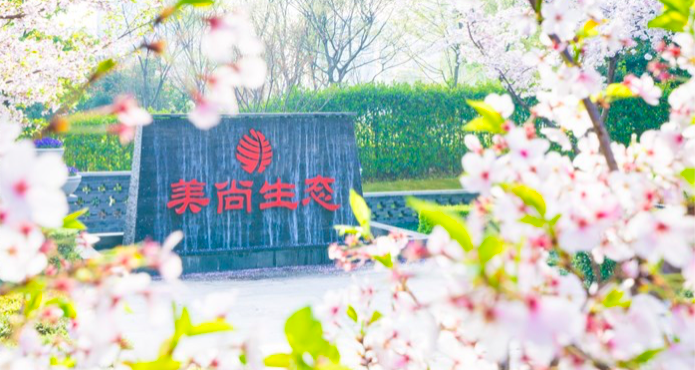 美尚,ST,造假,齊發(fā),退市,多重 連續(xù)造假八年半 *ST美尚多重風(fēng)險齊發(fā)走到退市邊緣