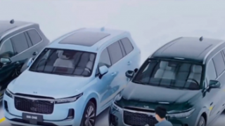 電鰻 電鰻號：理想汽車降價：誤判后的積極調整策略
