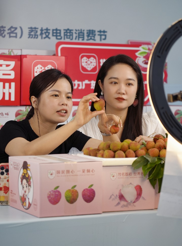 Q1,基本功,高質量,夯實,多多,深化 拼多多Q1深化高質量發展戰略：加大農業投入，進一步夯實平臺基本功