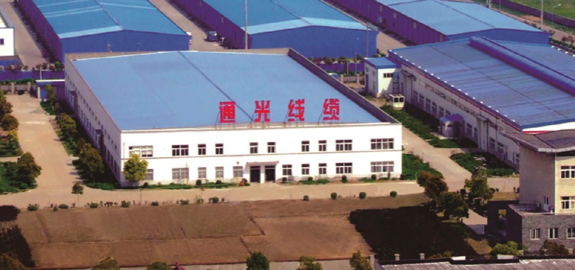纜及,張忠,證監,警示,光線,董事長 通光線纜及董事長張忠等收江蘇證監局警示函