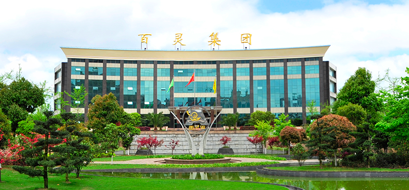 或少計,9200,百靈,差錯,年報,貴州 貴州百靈年報重大差錯 或少計虧損9200萬元