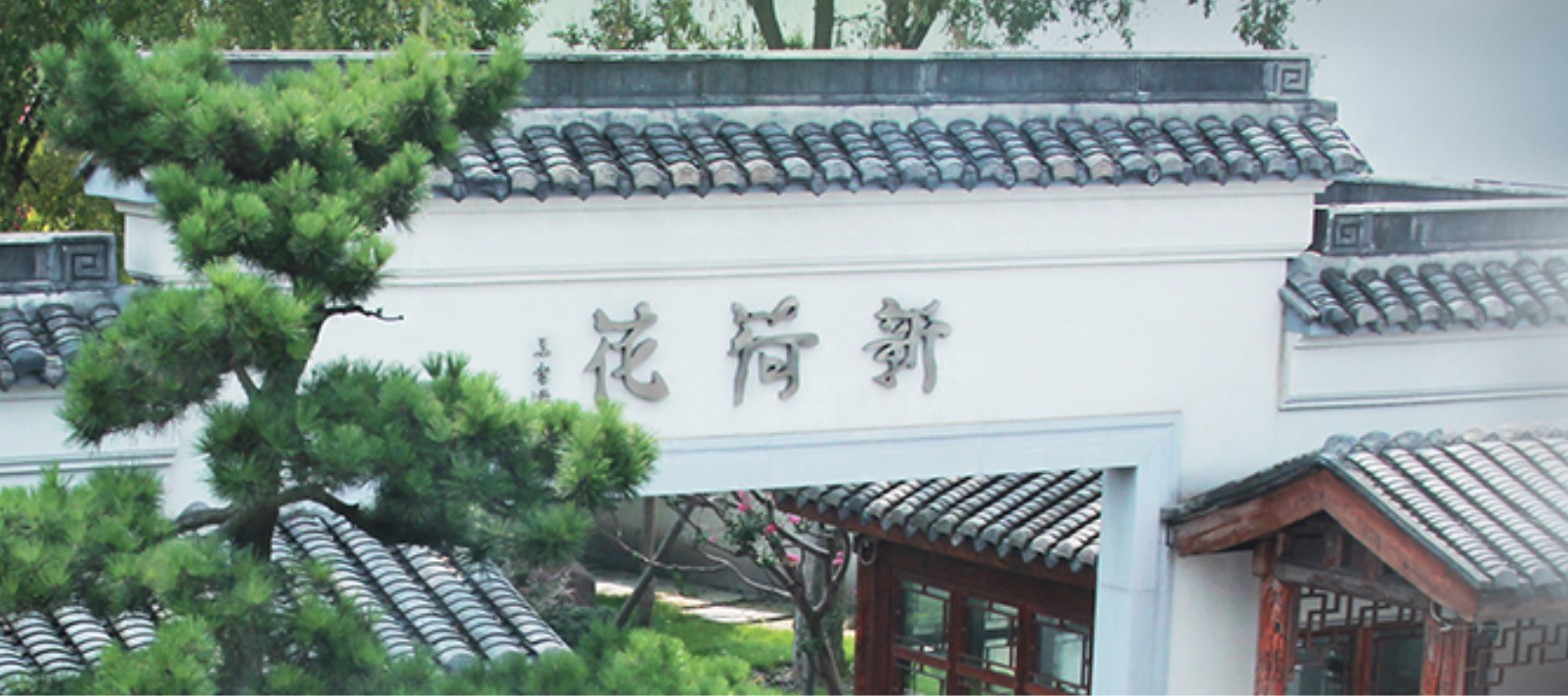 飲片,流為,IPO,三啟,荷花,經營性 中藥飲片供應商新荷花三啟IPO：經營性現金流為負