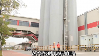 電鰻 電鰻號|百威亞太滑坡，酒企憑啥趕新潮？