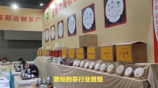 收減,古茶,2024,電鰻,瀾滄,預虧 電鰻號|瀾滄古茶2024年收減三成，預虧或過億