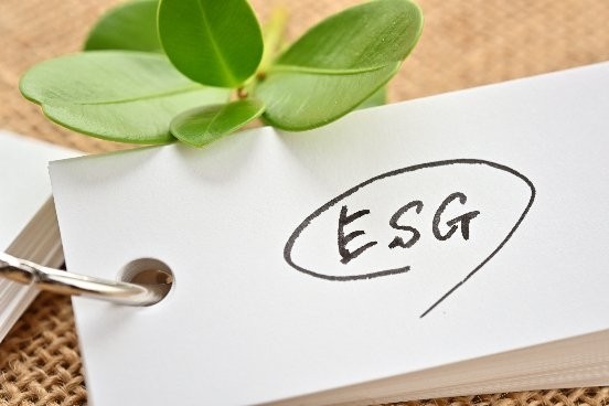 ESG ESG信息披露變革進行時：國內信息批露規則亟需走向統一