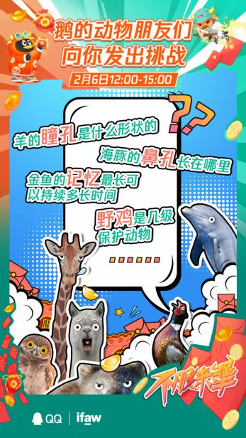 騰訊QQ 春節搶紅包 IFAW 騰訊QQ春節搶紅包活動上線：IFAW專場趣味科普動物們的神奇冷知識