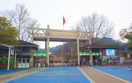 紅山動物園 森林 最熱好課 少年得到馳援紅山動物園，三千多名小學員報名捐出學習時長